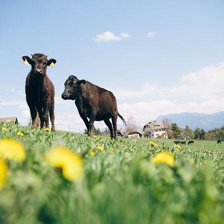 Alpin Farm Linde - Oberweidacherhof Collalbo Dış mekan fotoğraf