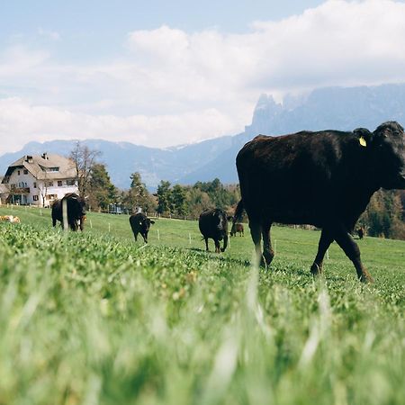 Alpin Farm Linde - Oberweidacherhof Collalbo Dış mekan fotoğraf