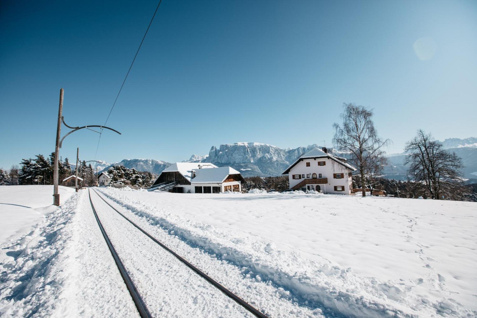 Alpin Farm Linde - Oberweidacherhof Collalbo Dış mekan fotoğraf